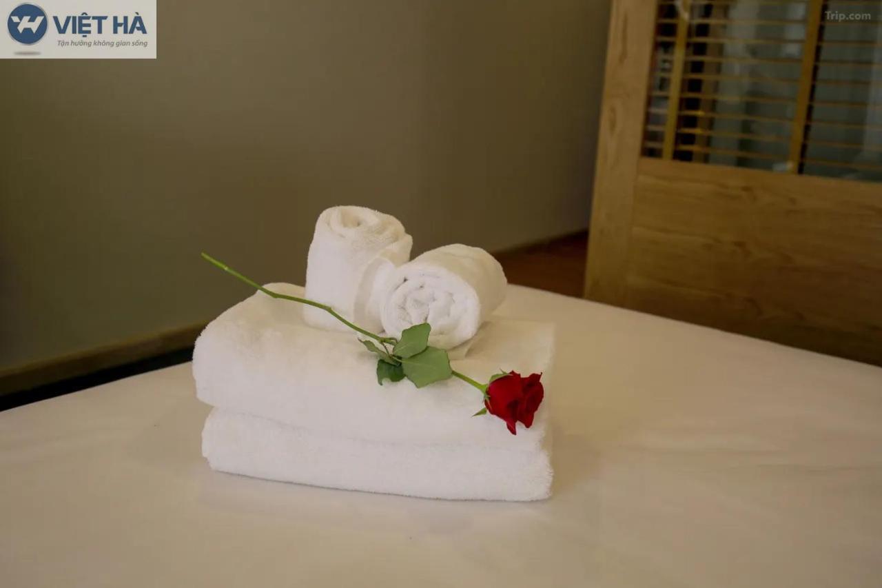 Viet Ha Hotel Ho Chi Minh-Byen Eksteriør billede